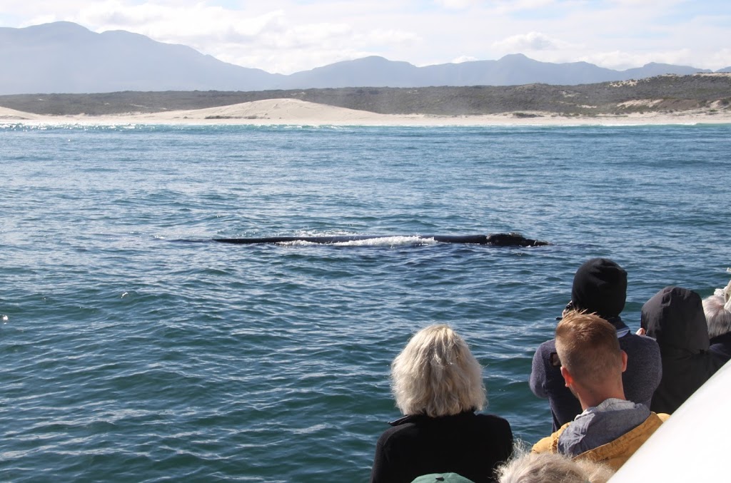 Earthstompers Garden Route Tours in South Africa
