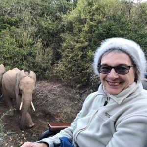 Garden Route Tours and Cape Town Tours in South Africa by Earthstompers Adventures