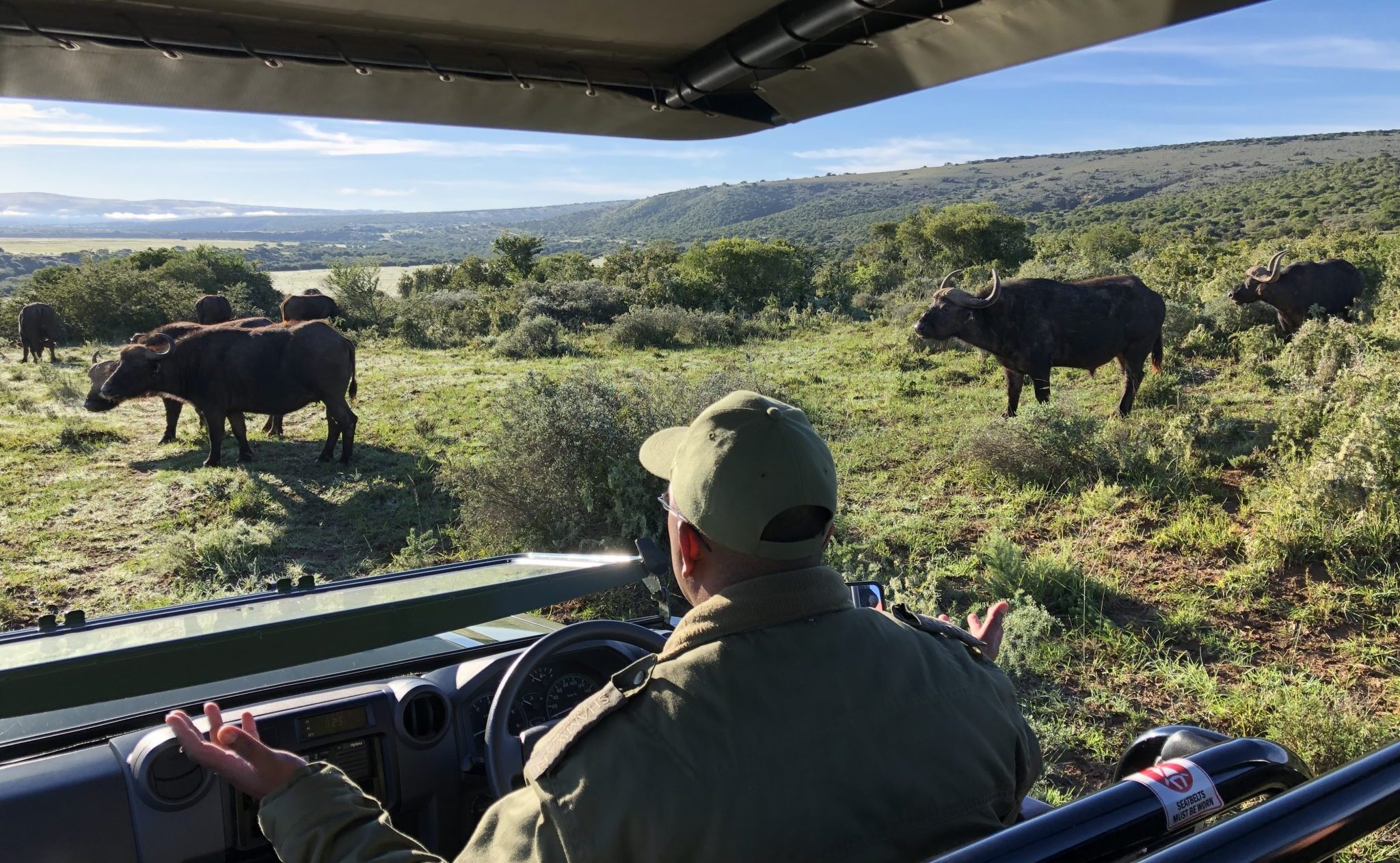 Experience the Big 5 on an African safari tour