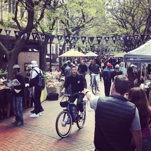 Cape Town foodie tour