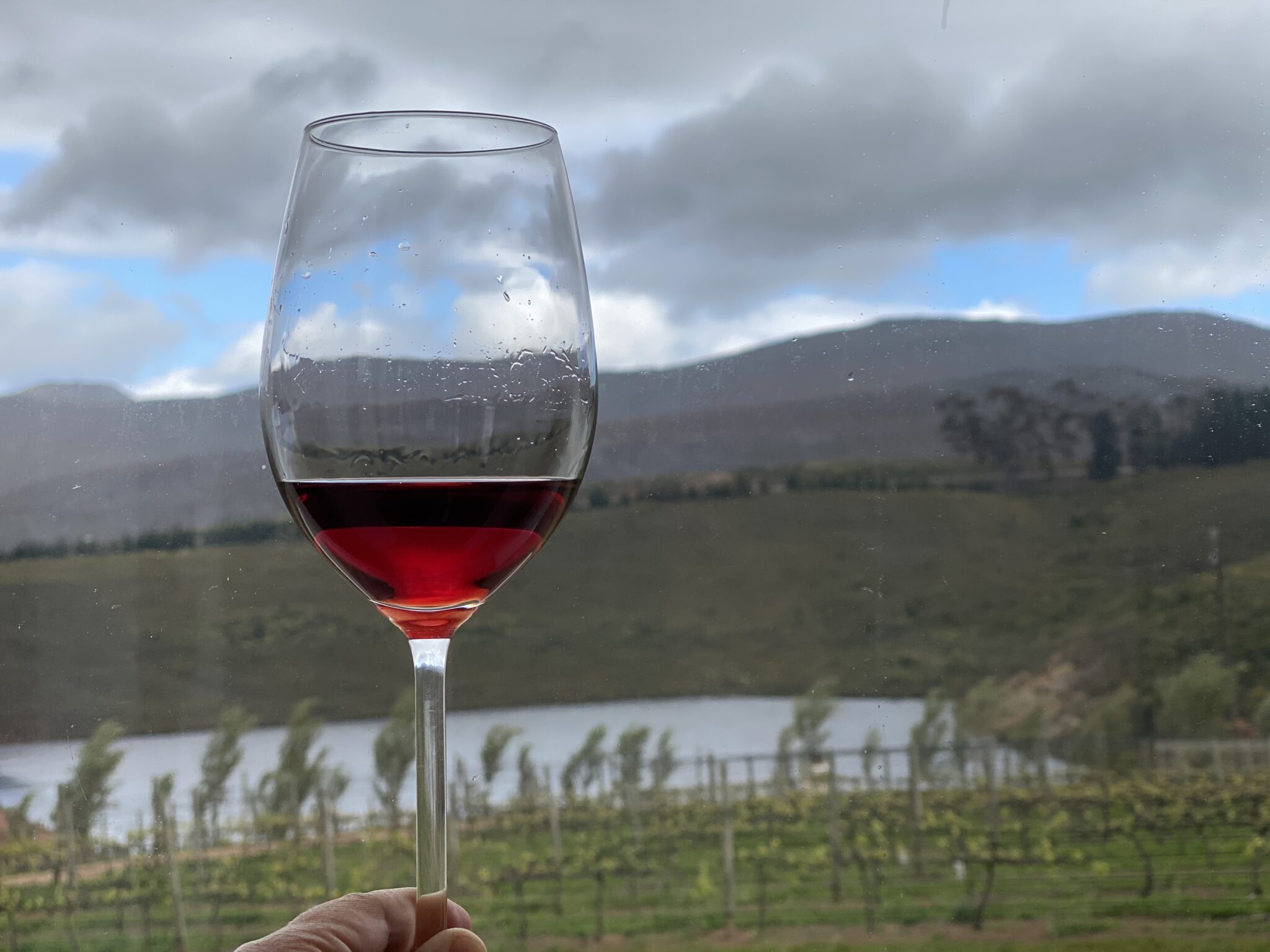 Wine tasting Hemel-en-Aarde valley