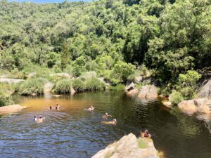 Swimming in Wilderness National Park