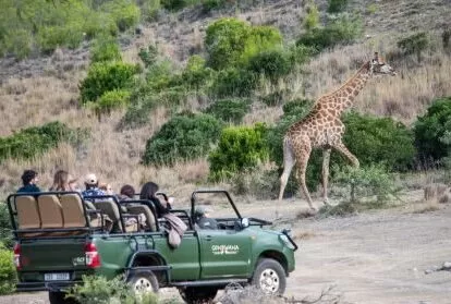 Gondwana safari