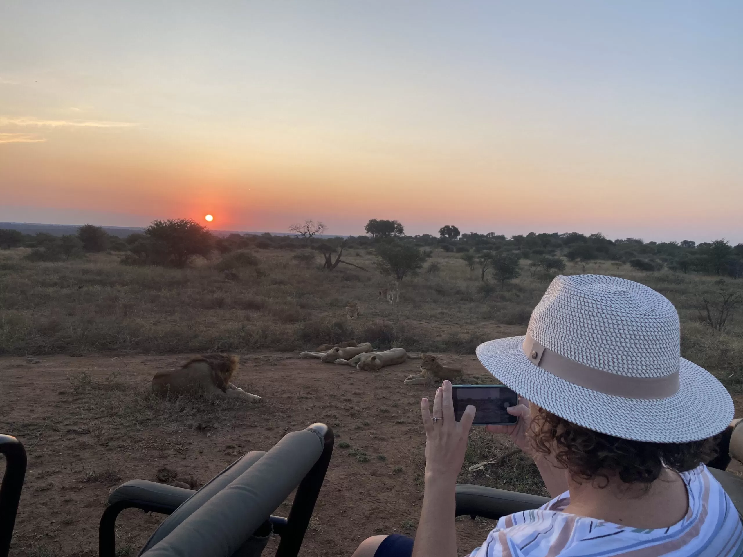 Sunset – Lion- Bush and my wife. Happy to be alive in Africa.