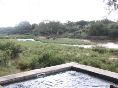 Pool overlooking the safari
